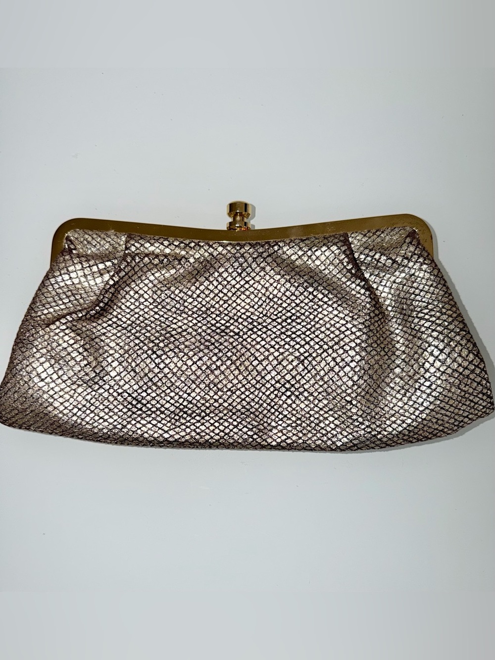Metallic Snake-Texture Clutch Evening Bag in Silver with Gold Frame